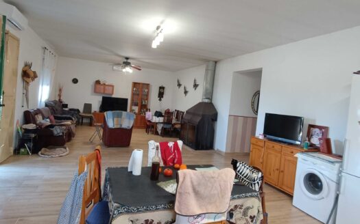 CASA DE CAMPO EN TERRENO CON OLIVOS EN PRODUCCIÓN